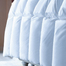 德国原产OBB royal bed 850蓬95%西伯利亚鹅绒被 冬夏两用被 白色 200*230cm（适用于1.5m的床）