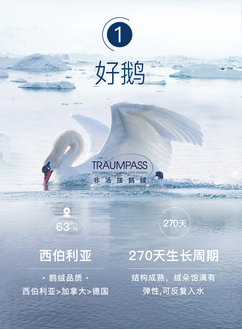 德国原产OBB Royal Bed西伯利亚95%雪鹅绒被 国王冬被 白色 220*240cm（适用于1.8m的床）