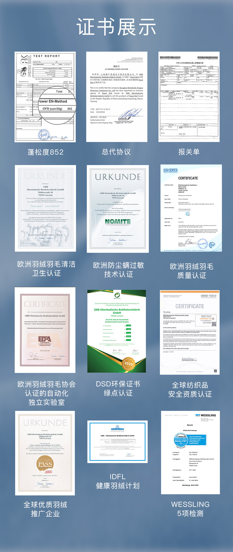 德国原产OBB Royal Bed90%鹅绒被 Wiltz维尔茨加厚四季被冬被 白色 220*240cm（适用于1米8的床）