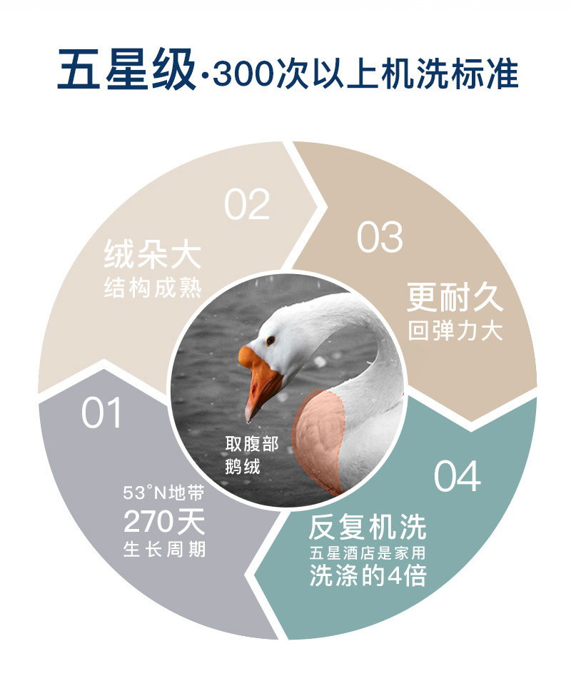 德国原产OBB Royal Bed德国90%鹅绒夏被空调被 Immensee茵梦 白色 150*200cm(适用于1.2m的床)