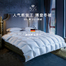 德国原产OBB Royal Bed850蓬西伯利亚95%鹅绒被博登冬被 白色 260*240cm（适用于2.0m的床）
