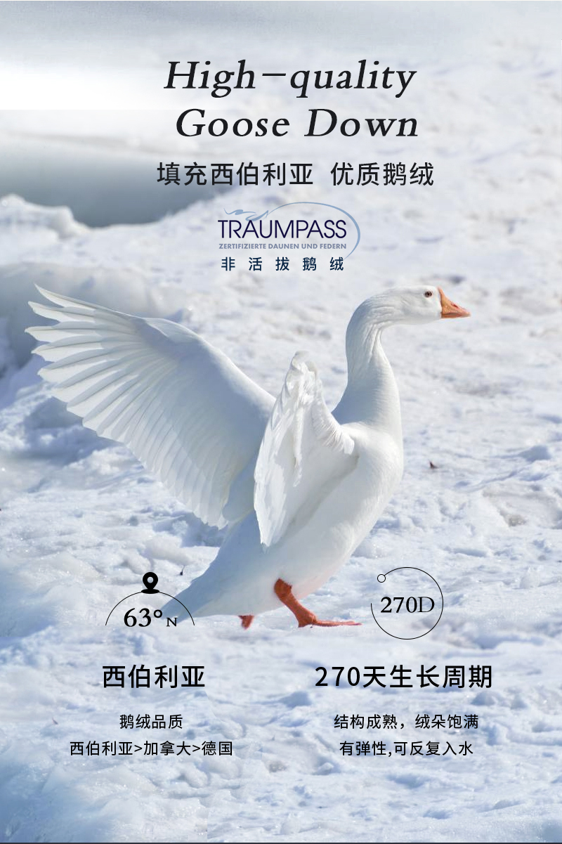 德国原产OBB RoyalBed850蓬西伯利亚95%鹅绒博登暖气被空调被 白色 220*240cm（适用于1.8m的床）