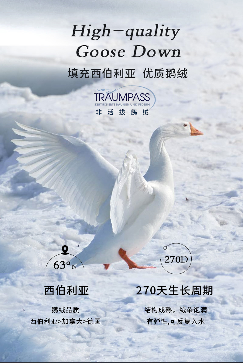 德国原产OBB Royal Bed 1000蓬西伯利亚95%鹅绒被 国王冬被 白色 200*230cm（适用于1.5m的床）