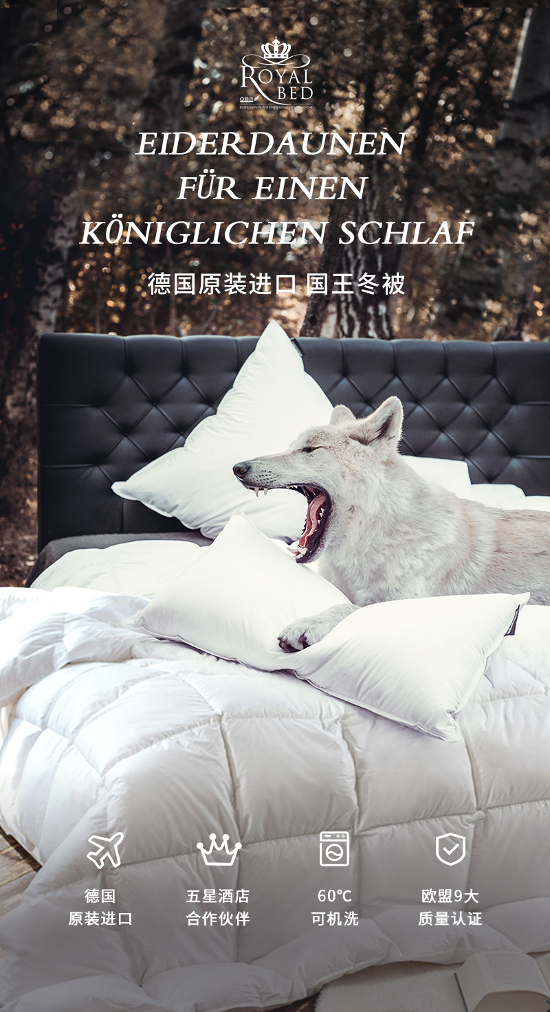 德国原产OBB Royal Bed 1000蓬西伯利亚95%鹅绒被 国王冬被 白色 200*230cm（适用于1.5m的床）