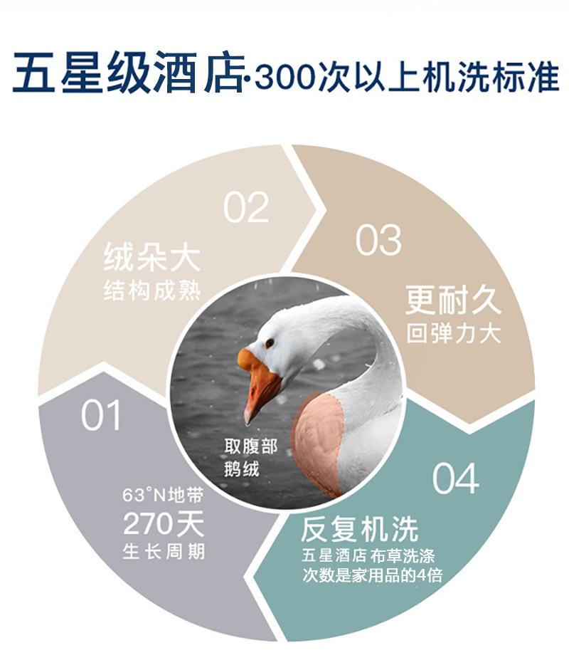 德国原产OBB Royal Bed西伯利亚95%雪鹅绒被 国王冬被 白色 220*240cm（适用于1.8m的床）