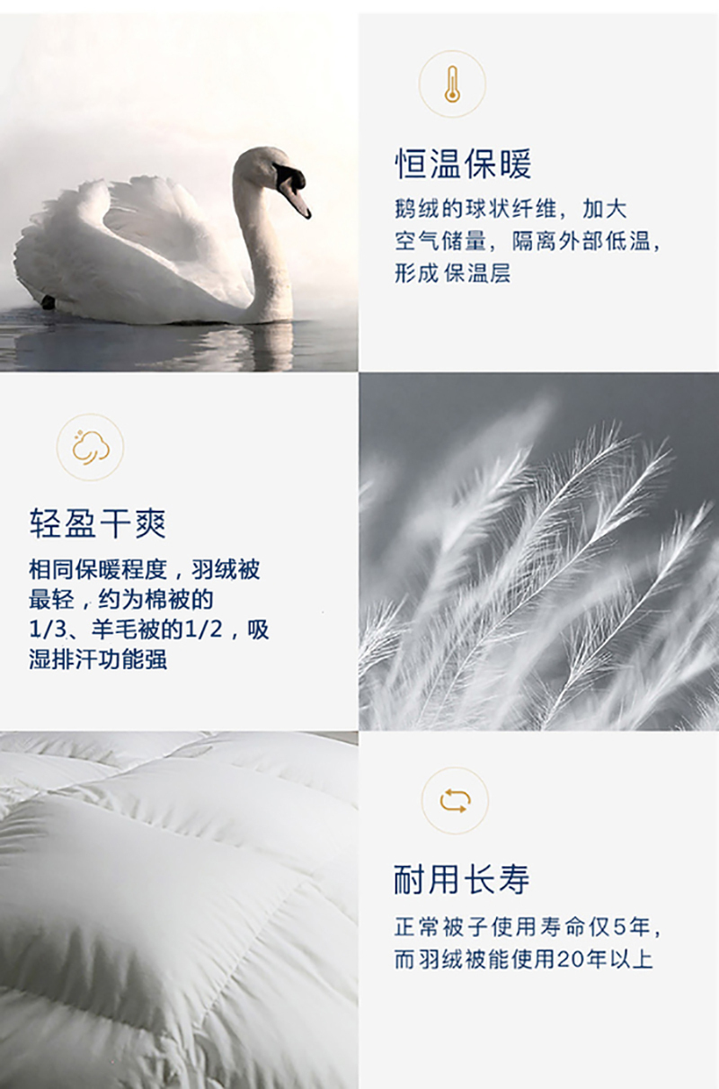 德国原产OBB Royal Bed90%鹅绒被 Wiltz维尔茨加厚四季被冬被 白色 220*240cm（适用于1米8的床）