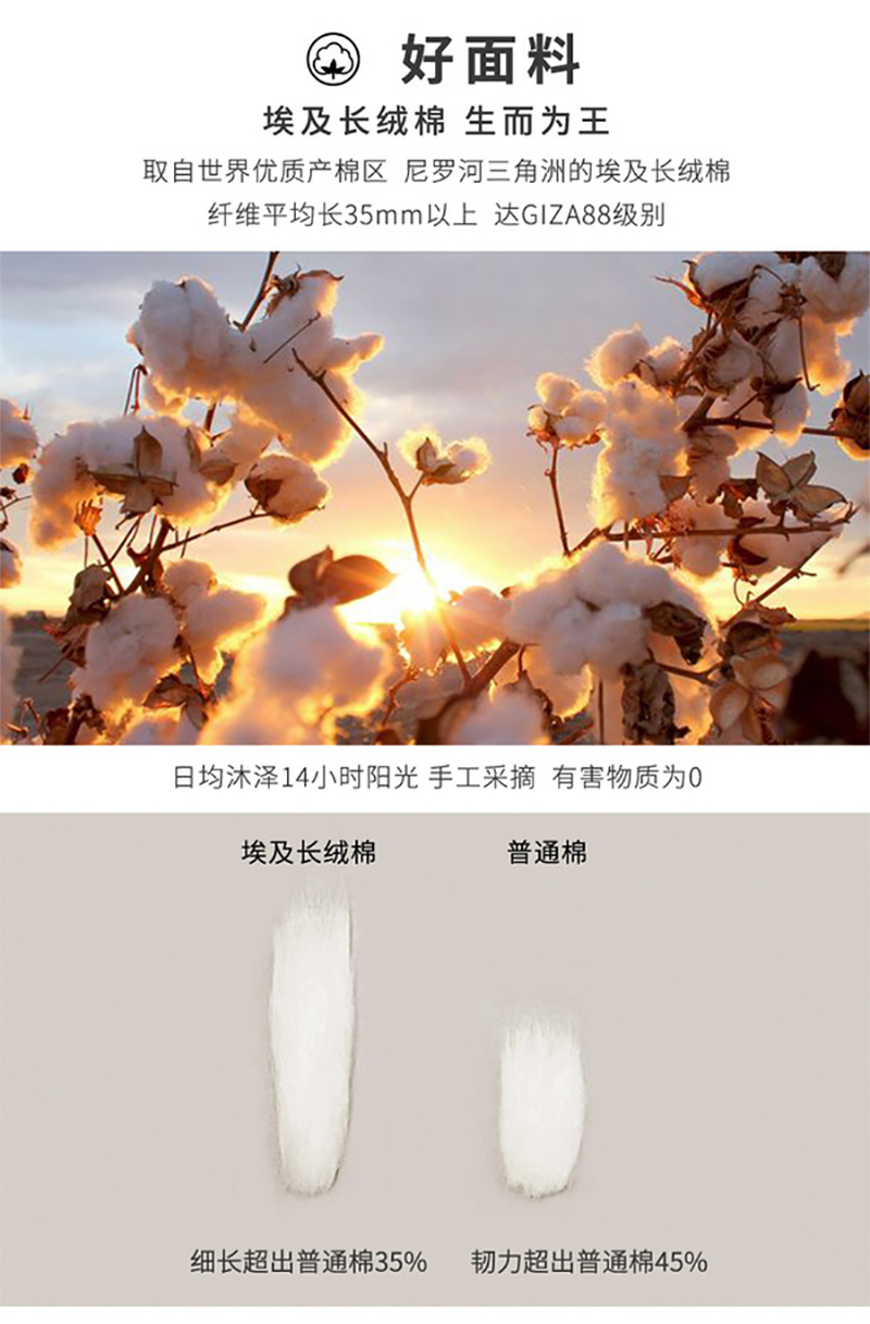 Liebestraum莉帛斯陶120支埃及长绒棉贡缎四件套 图兰朵系列 淡香槟 200*230cm（适用于1米5的床）