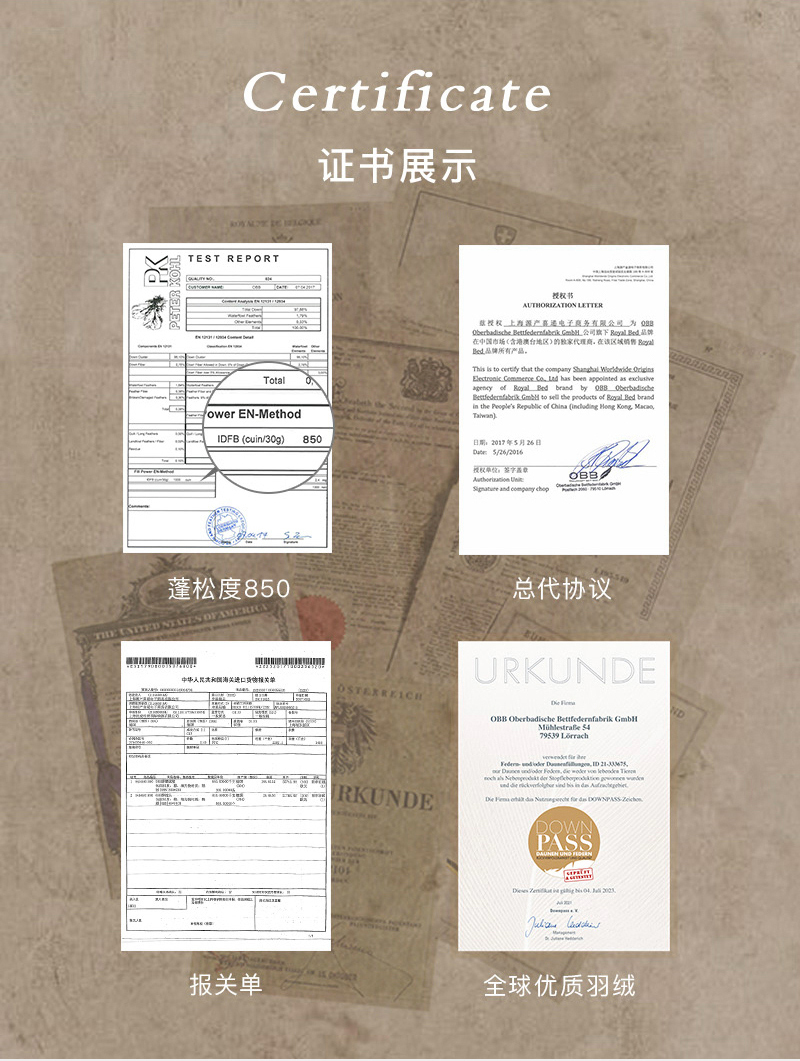 德国原产OBB Royal bed西伯利亚鹅绒枕复合羽绒枕凉感四季枕 白色 50*70cm