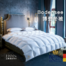 德国原产OBB Royal Bed加拿大95%鹅绒被Bodensee博登冬被 白色 150*200cm（适用于1.2m的床）