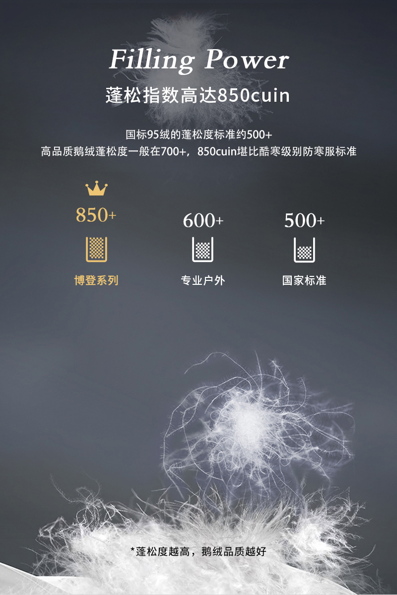 德国原产OBB Royal Bed850蓬西伯利亚95%鹅绒博登春秋被 白色 220*240cm（适用于1.8m的床）