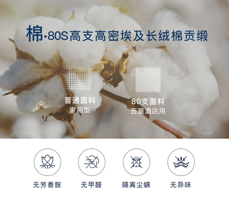 德国原产OBB Royal Bed德国90%鹅绒夏被空调被 Immensee茵梦 白色 150*200cm(适用于1.2m的床)