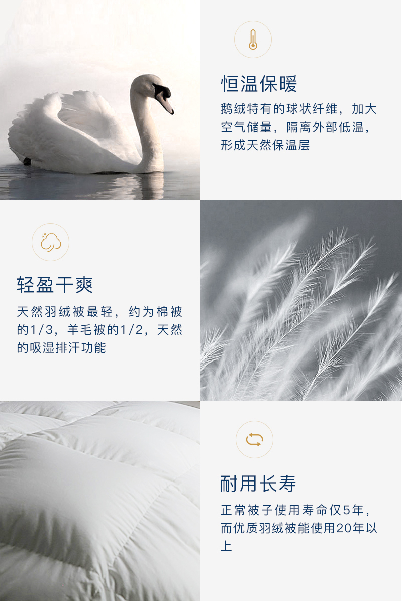 德国原产OBB Royal Bed德国90%鹅绒夏被空调被 Immensee茵梦 白色 150*200cm(适用于1.2m的床)