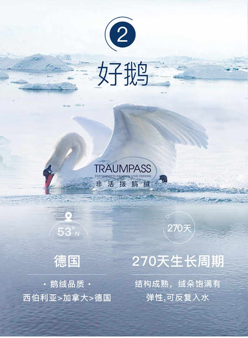 德国原产OBB Royal Bed德国90%鹅绒夏被空调被 Immensee茵梦 白色 150*200cm(适用于1.2m的床)