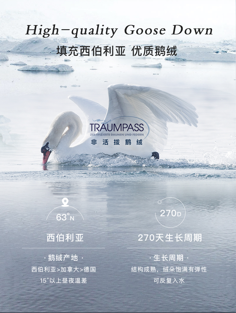 德国原产OBB Royal bed850蓬95%西伯利亚全鹅绒枕INN极软枕 白色 M