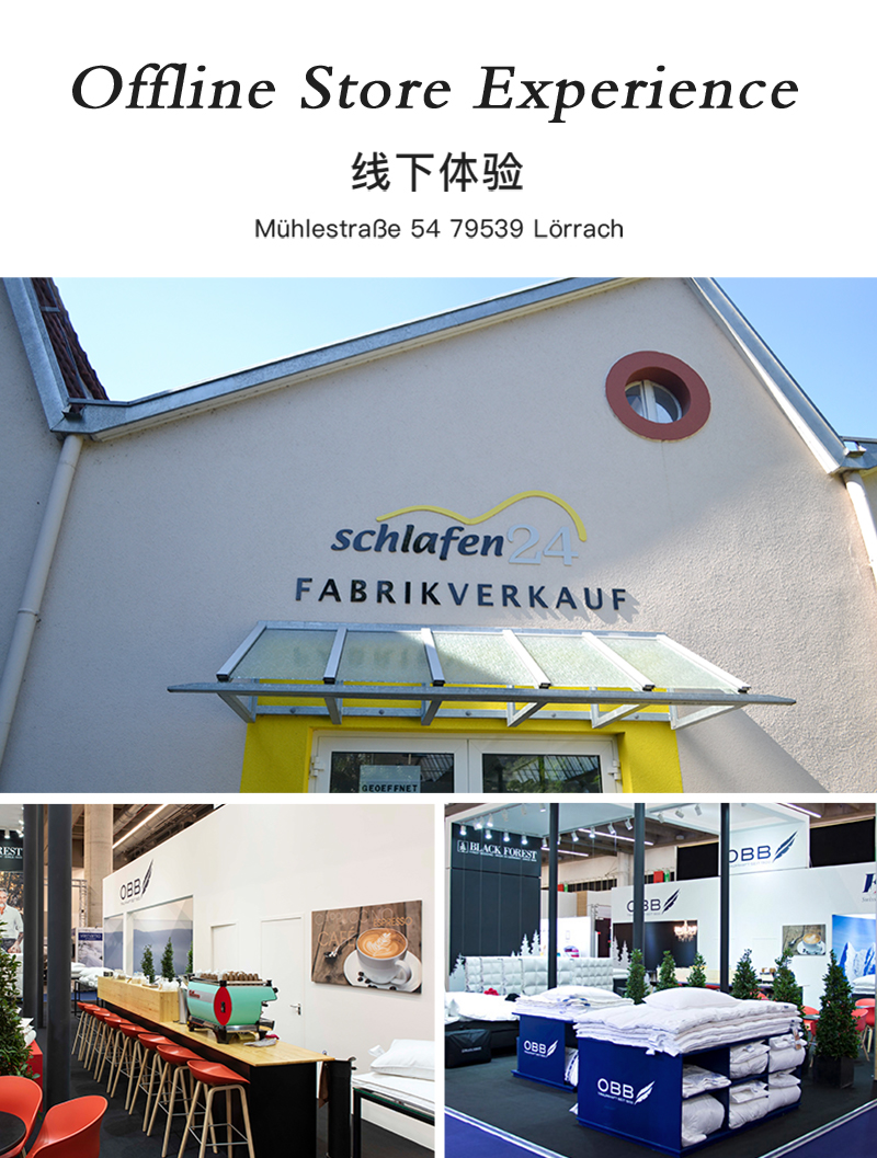 德国原产OBB Royal bed850蓬95%西伯利亚全鹅绒枕INN极软枕 白色 M