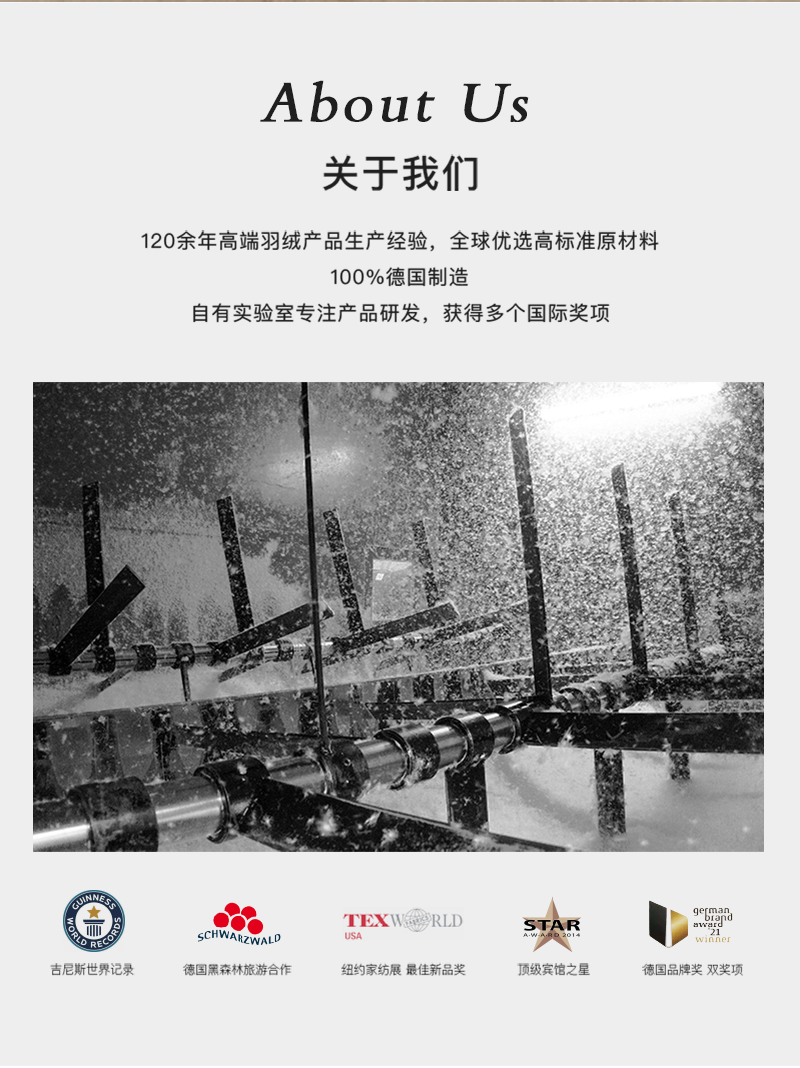 德国原产OBB Royal bed850蓬95%西伯利亚全鹅绒枕INN极软枕 白色 M