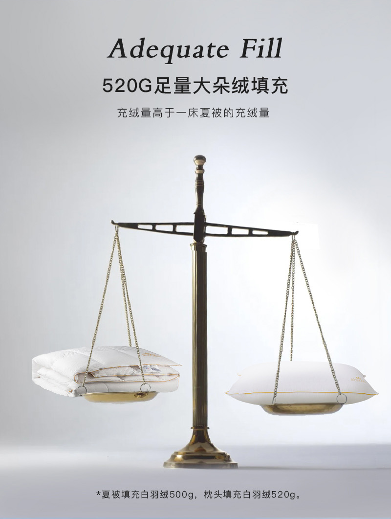 德国原产OBB Royal bed850蓬95%西伯利亚全鹅绒枕INN极软枕 白色 M