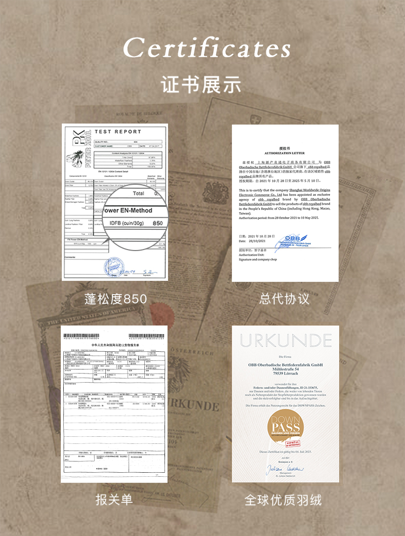 德国原产OBB Royal bed850蓬95%西伯利亚全鹅绒枕INN极软枕 白色 M