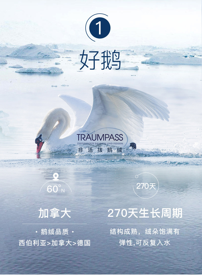 德国原产OBB Royal Bed加拿大95%鹅绒 Eibsee艾博夏被空调被 白色 150*200cm(适用于1.2m的床)