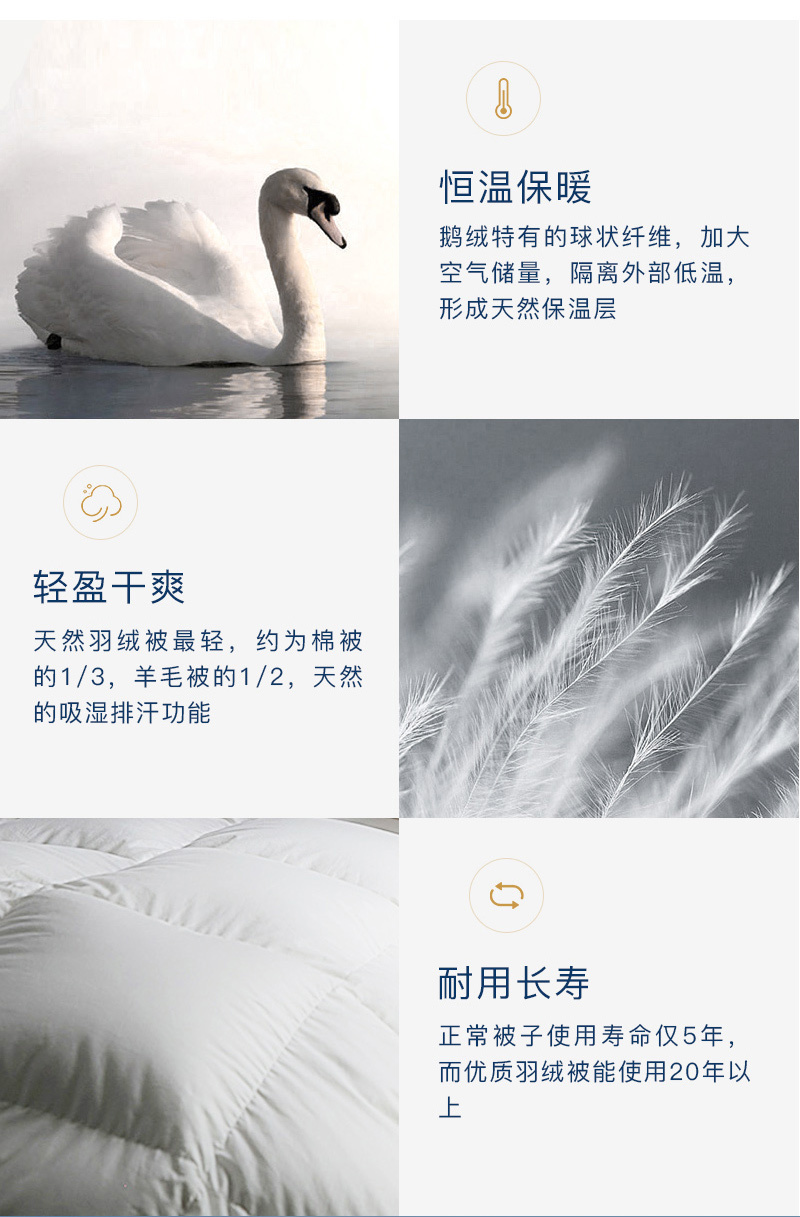 德国原产OBB Royal Bed加拿大95%鹅绒 Eibsee艾博夏被空调被 白色 150*200cm(适用于1.2m的床)
