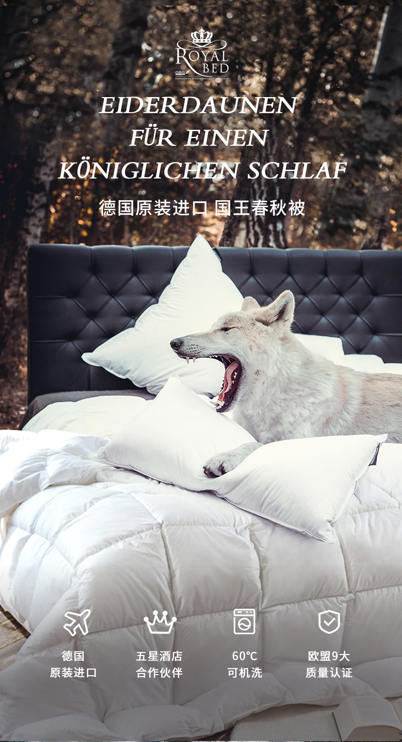 德国原产OBB Royal Bed 1000蓬西伯利亚95%鹅绒被 国王春秋被 白色 150*200cm（适用于1.2m的床）