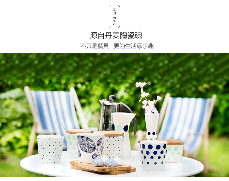 丹麦原产HELBAK陶瓷碗艺术碗手绘碗 梨果图案