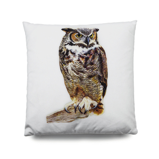 英国原产ARLEY HOUSE靠垫靠枕抱枕Dan Stirling猫头鹰