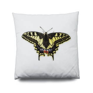 英国原产ARLEY HOUSE靠垫靠枕抱枕Dan Stirling黄色蝴蝶