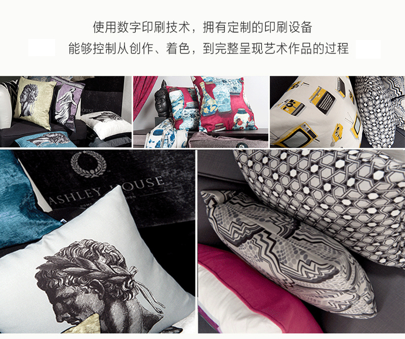 英国原产ARLEY HOUSE靠枕抱枕Alchemy Gothic ALREXFEA 彩色