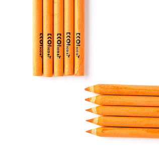 韩国原产ECO&I纸质彩色铅笔纸铅笔画笔10支套装zebra系列