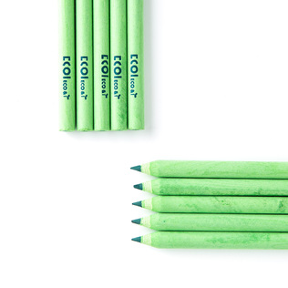 韩国原产ECO&I纸质彩色铅笔纸铅笔画笔10支套装zebra系列