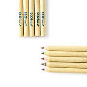 韩国原产ECO&I纸质彩色铅笔纸铅笔画笔10支套装zebra系列