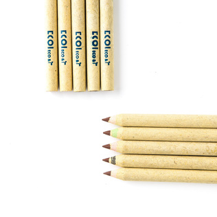 韩国原产ECO&I纸质彩色铅笔纸铅笔画笔10支套装zebra系列