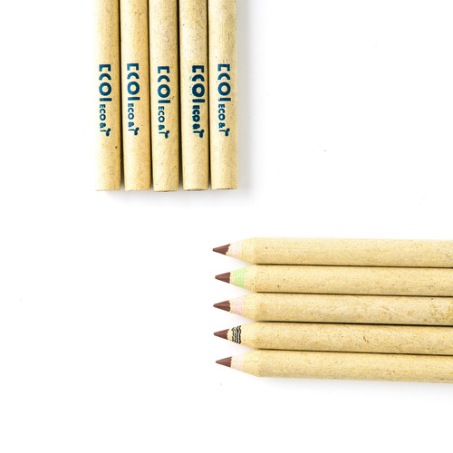 韩国原产ECO&I纸质彩色铅笔纸铅笔画笔10支套装zebra系列 棕色