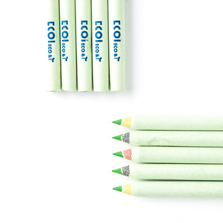 韩国原产ECO&I纸质彩色铅笔纸铅笔画笔10支套装zebra系列