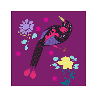 英国原产IONA天堂鸟水墨画图节日祝福贺卡明信片