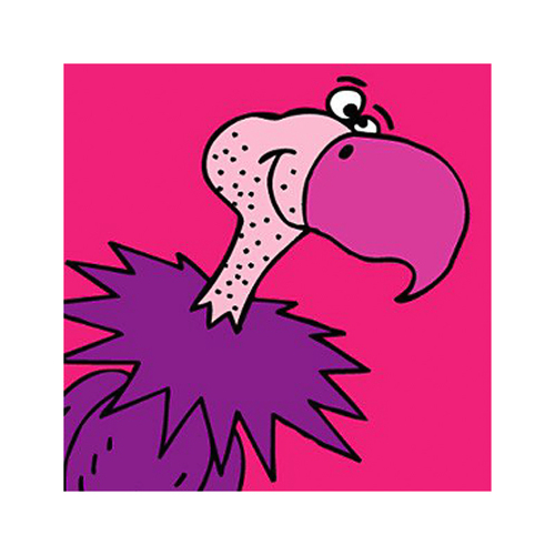 英国原产IONA饥饿的秃鹰卡通图案商务礼物卡片明信片贺卡 紫红