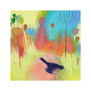 英国原产IONA画眉鸟水墨画图案节日祝福贺卡明信片