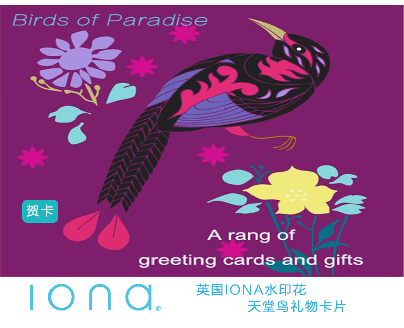 英国原产IONA天堂鸟水墨画图节日祝福贺卡明信片 紫色
