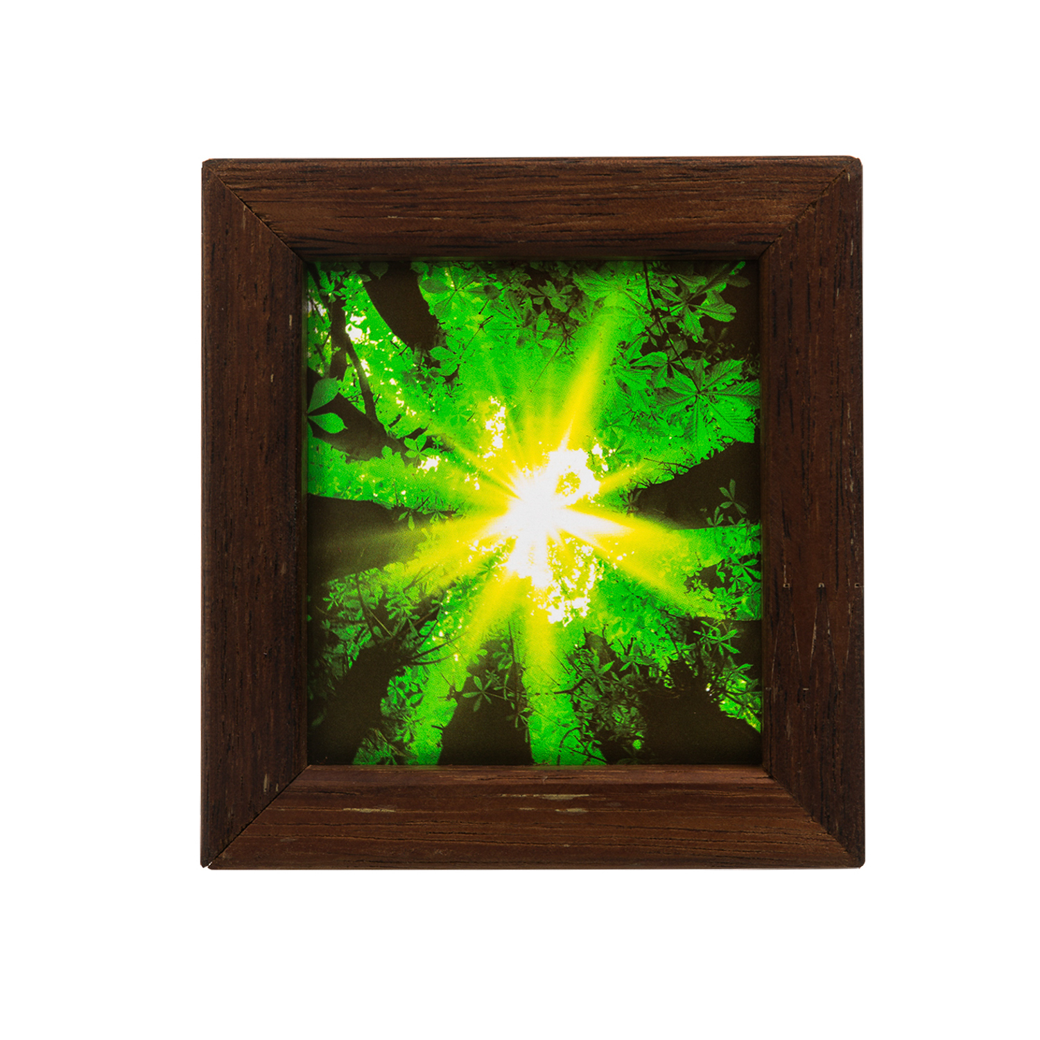 澳大利亚原产Windows of Light立体光影装饰画 林间光束 绿色