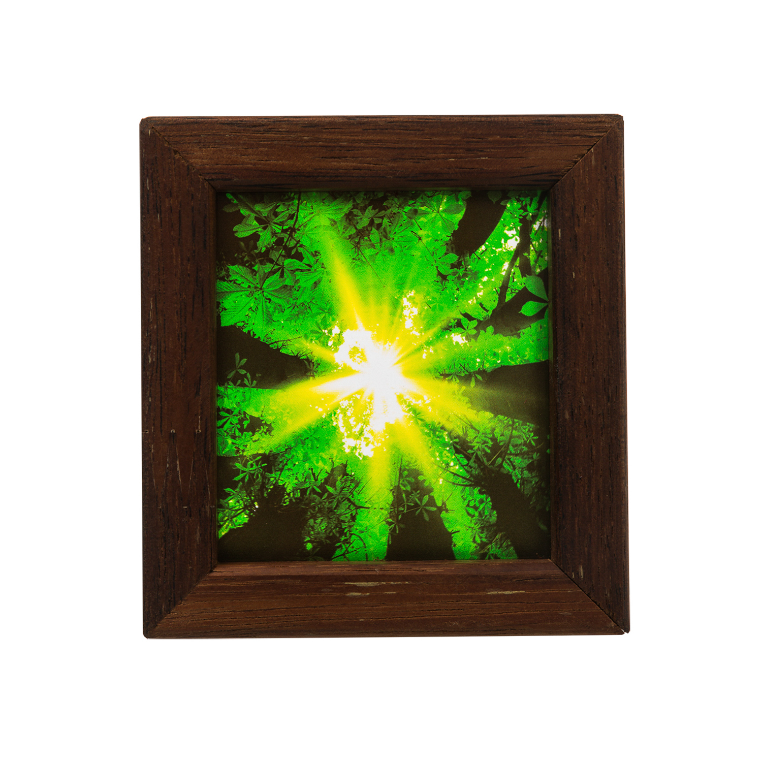 澳大利亚原产Windows of Light立体光影装饰画 林间光束