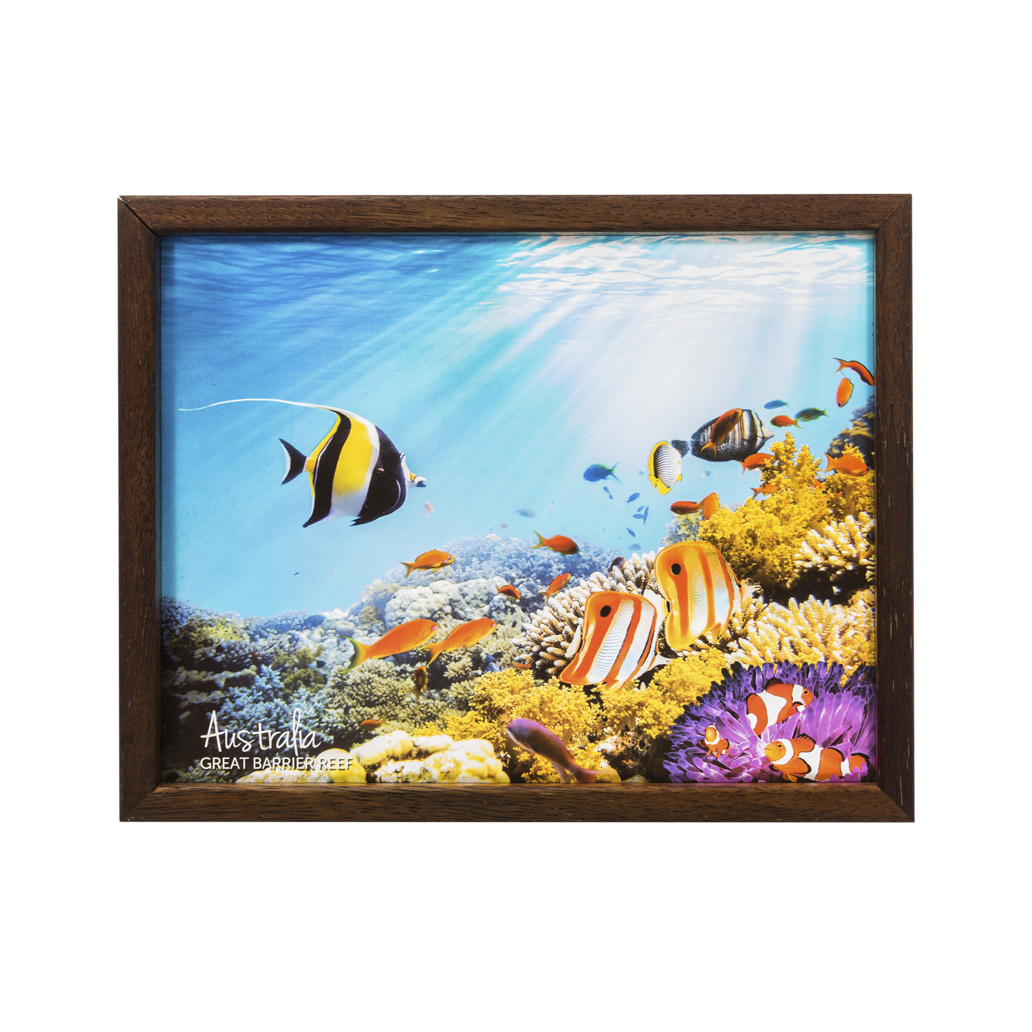 澳大利亚原产Windows of Light立体光影装饰画 海底