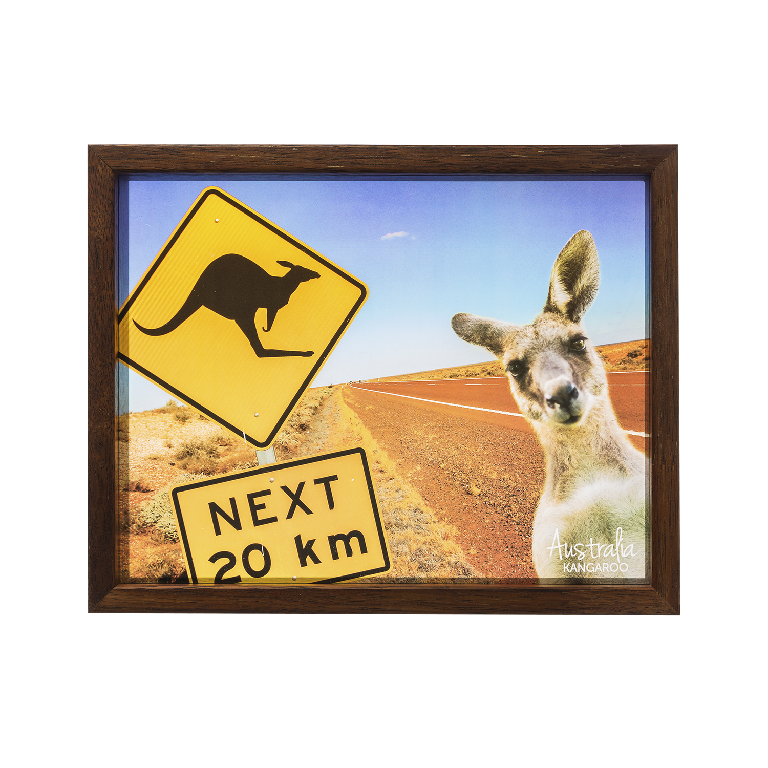 澳大利亚原产Windows of Light立体光影装饰画 红袋鼠