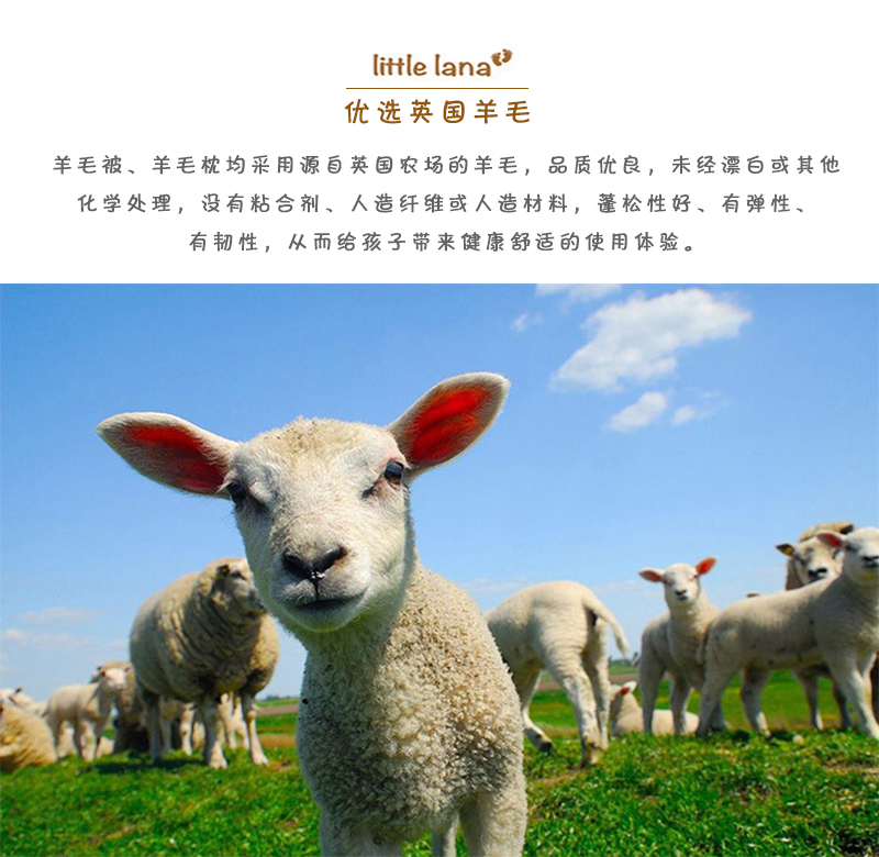 英国原产DEVON DUVETS儿童羊毛被羊毛枕套装轻便款300gsm 白色