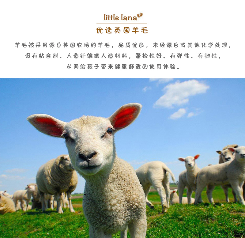 英国原产DEVON DUVETS儿童羊毛被棉被被芯轻便款300gsm 白色 100x135cm