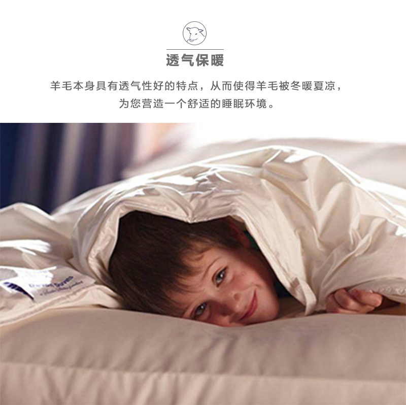 英国原产DEVON DUVETS羊毛被被子被芯轻便款300gsm 单人床150X200CM