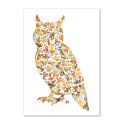 英国原产LouiseTateIllustration儿童彩色插画挂画猫头鹰