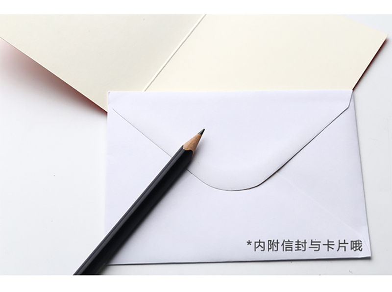 英国原产Lisa Jones Studio儿童启蒙认知学习卡片鸭子 蓝色