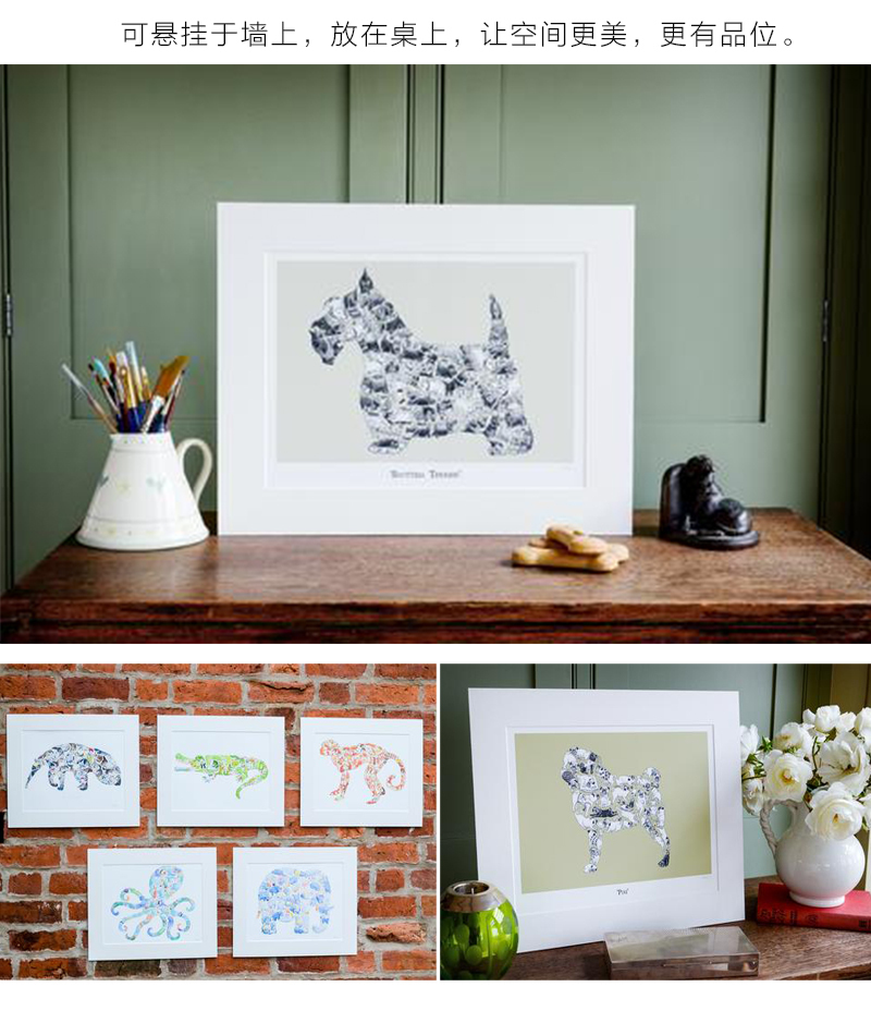 英国原产 Louise Tate Illustration儿童彩色插画挂画 彩色