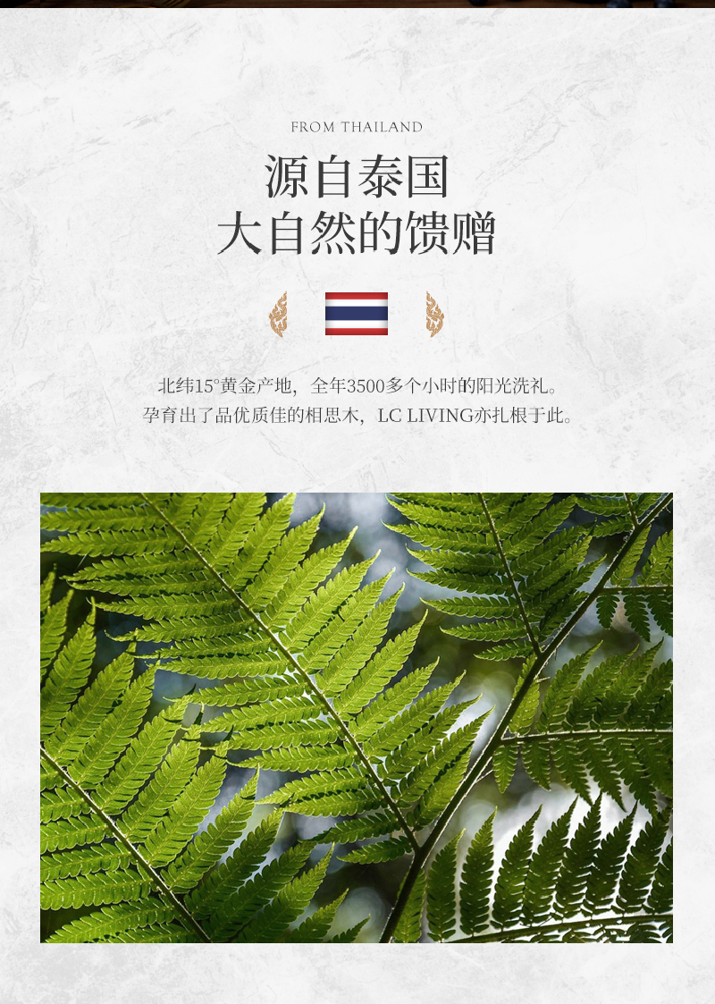 泰国LC LIVING相思木带提手长方形砧板菜板案板大号 深棕色 MP50